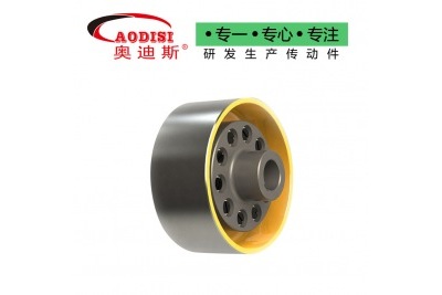 AODISI TLL型帶制動輪彈性套柱銷聯(lián)軸器